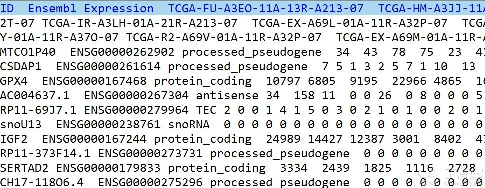  TCGA数据库分析宫颈鳞状细胞癌（CESC）