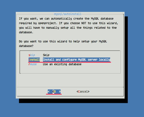 如何在CentOS 7上安装OpenProject
