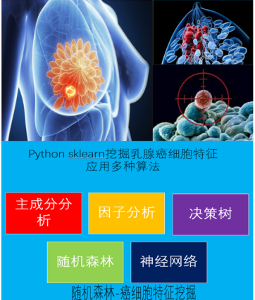 强化学习Q-Learning算法详解
