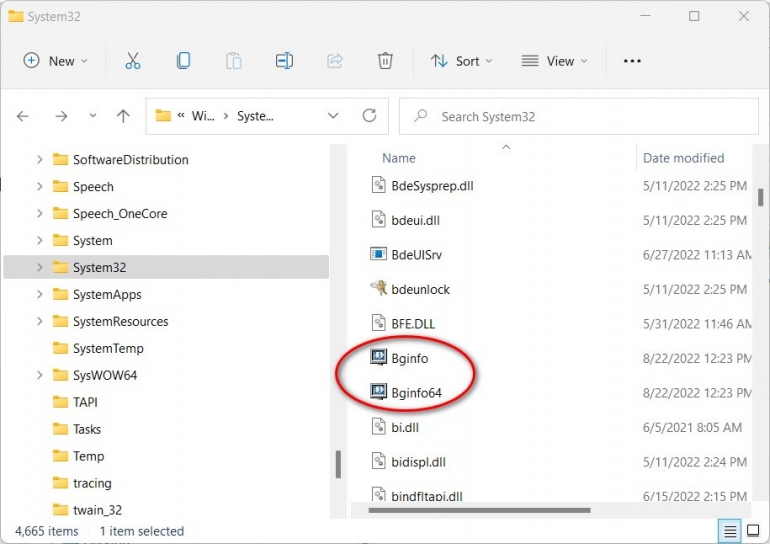 如何使用 BgInfo 显示更新的 Windows 11 系统信息