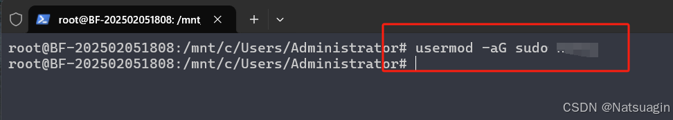 全网最全Win10/11系统下WSL2+Ubuntu20.04的全流程安装指南（两种支持安装至 D 盘方式）